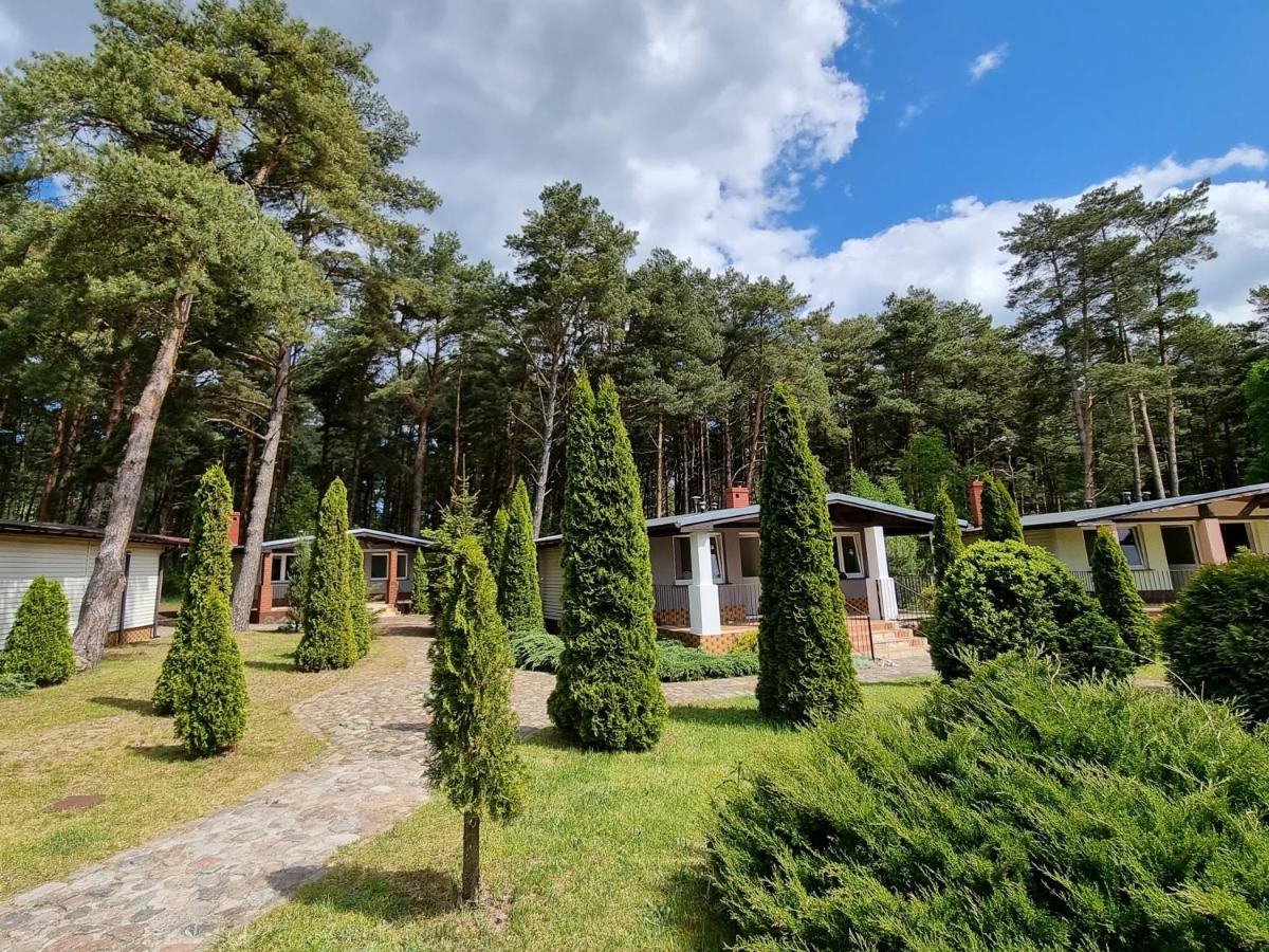 MORSKA ZIELEŃ - Housity
