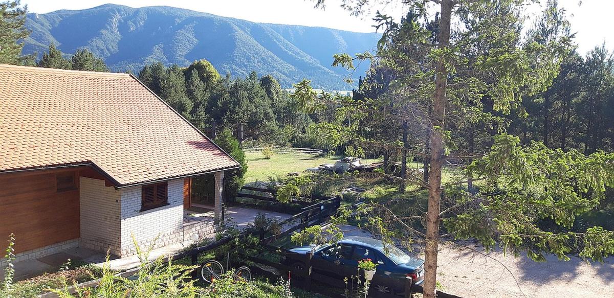 Alexandar Holiday Apartments and Cottage - Housity