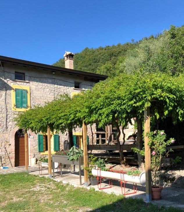 Suitetrails - Fattoria Branciana
