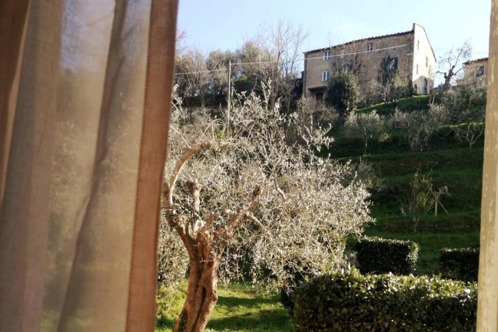 Rustico San Lorenzo - Housity