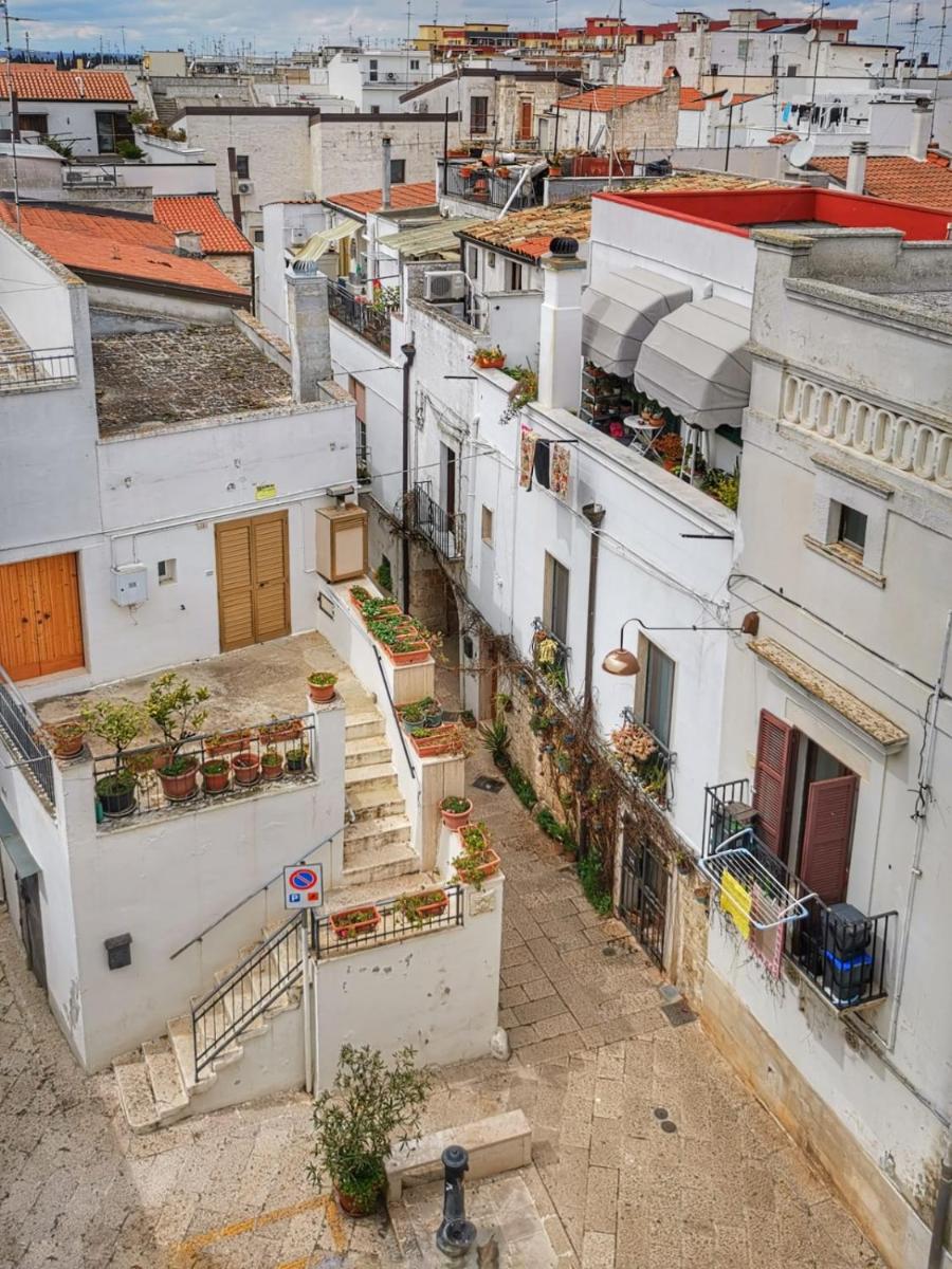 Ciacco Hotel - Housity