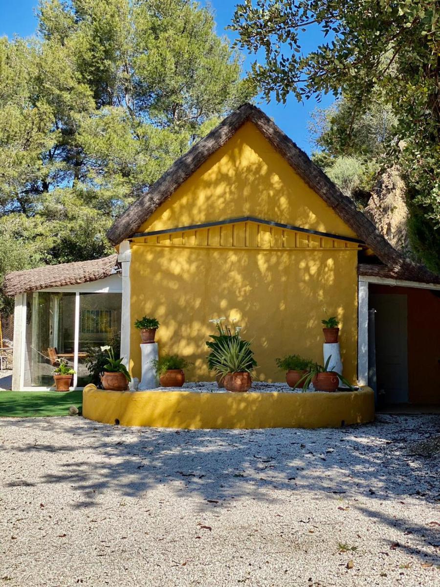 Eco Secret Getaway - Housity