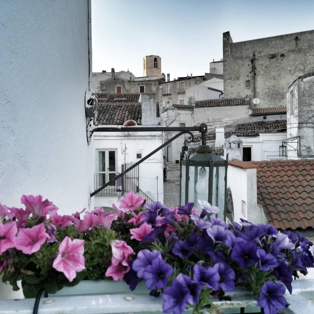Casa Isabella - Housity