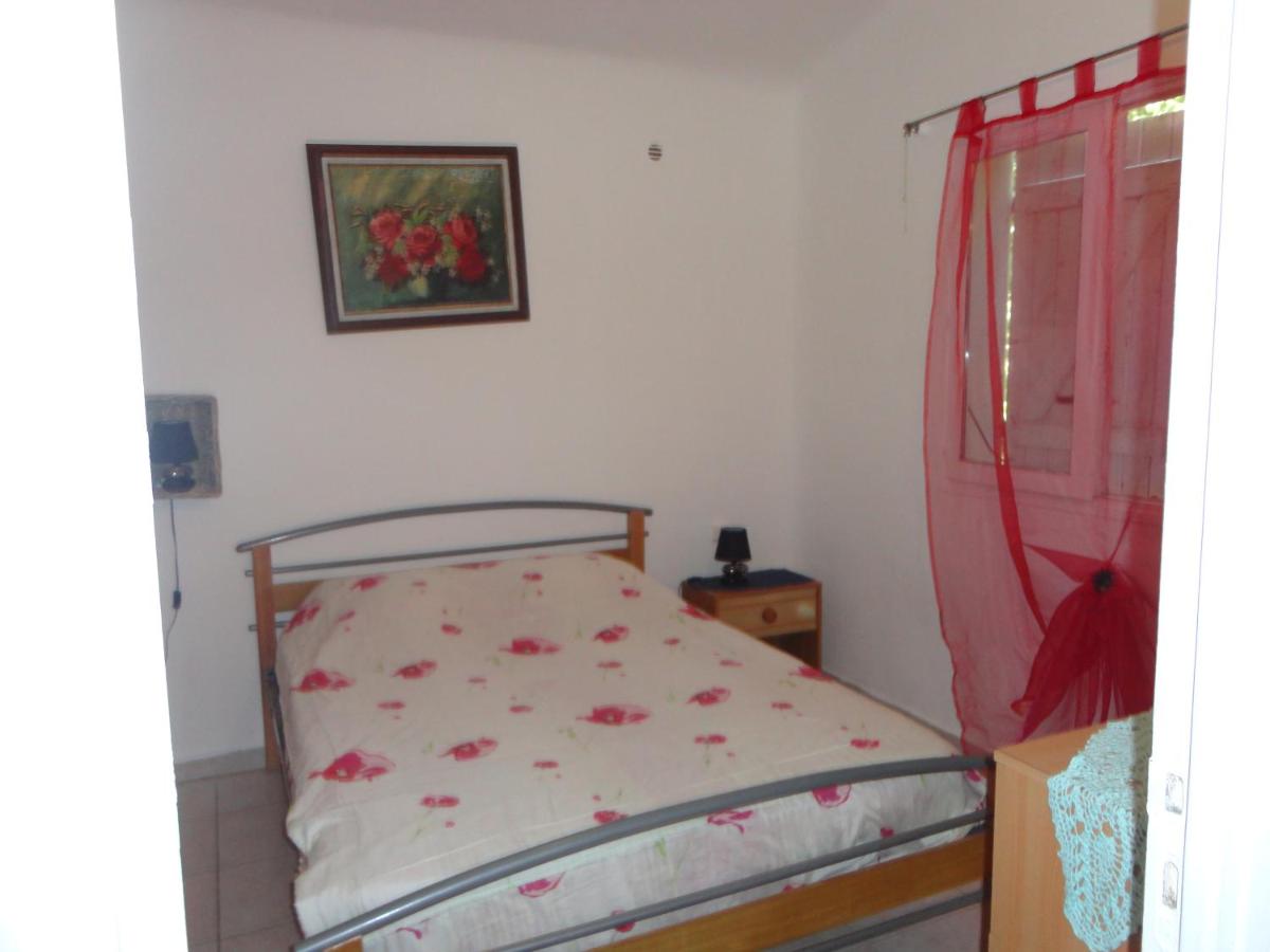 Le Pin Parasol - Housity
