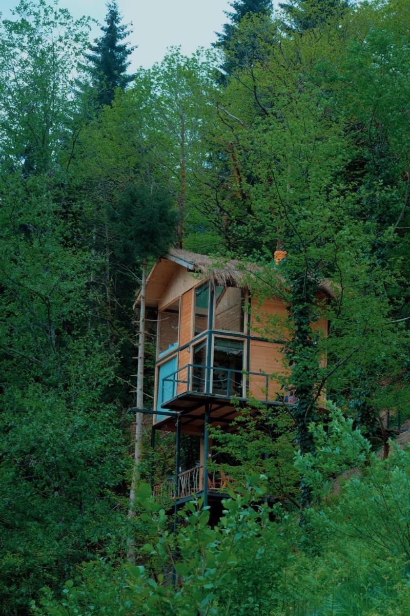 Hill Inn - Housity