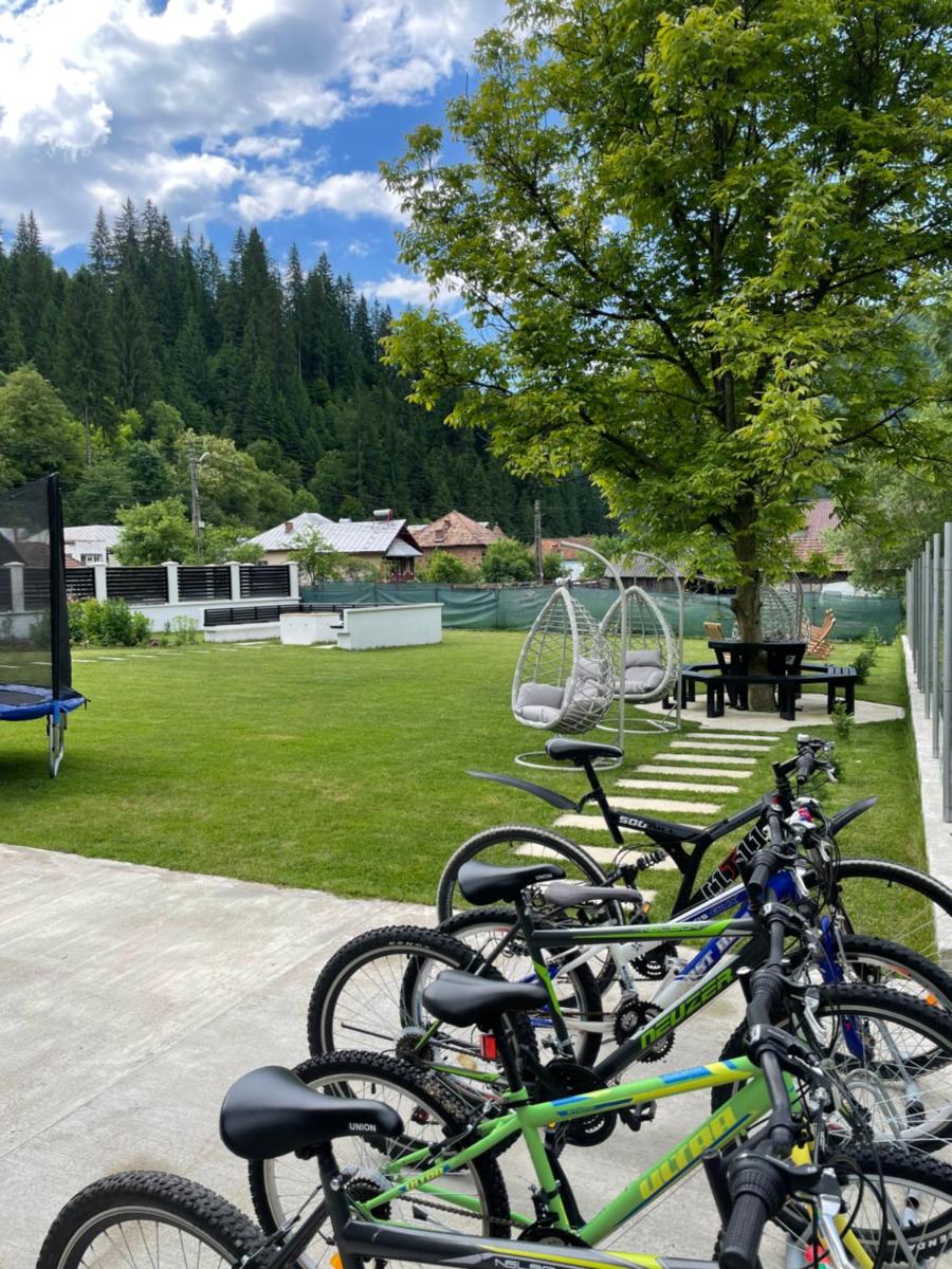 Pensiunea Edelweiss - Housity