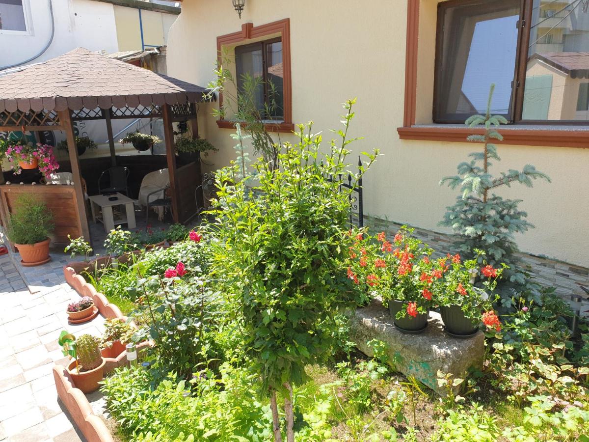 Kogalniceanu House - Housity