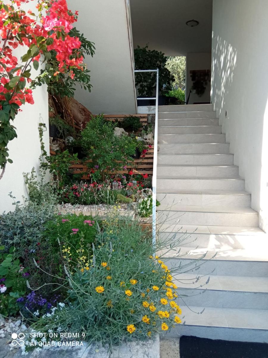 Apartments Kule - Housity