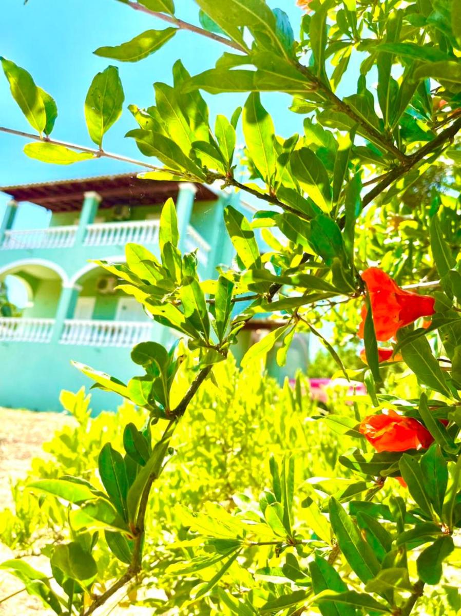 Green Hill House - Housity
