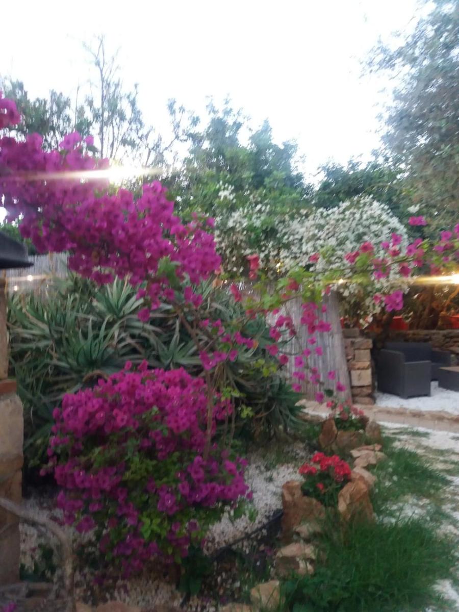 Affittacamere CALAMOSCHE - Housity