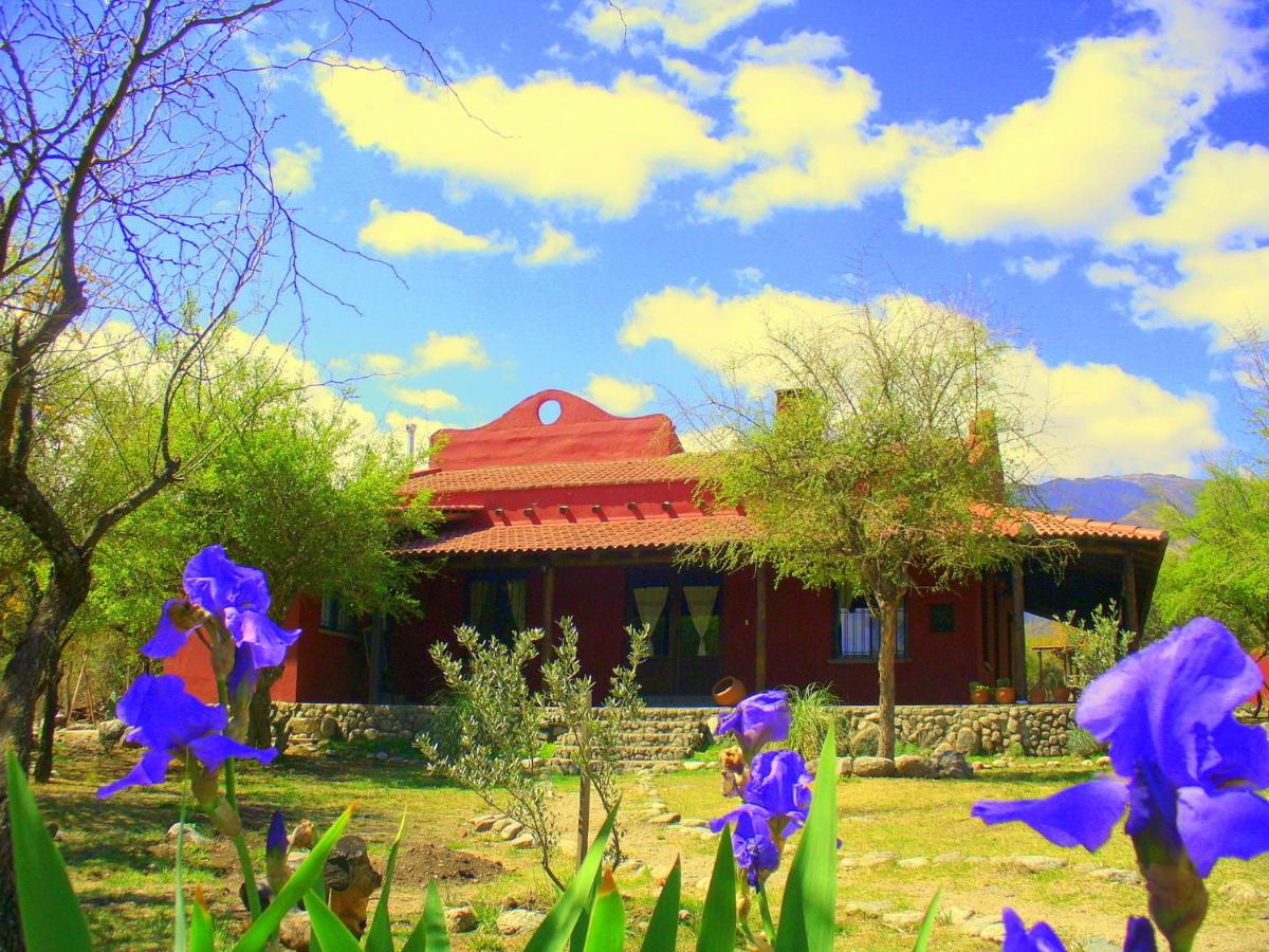 Cabañas en Piedras Maia - Housity