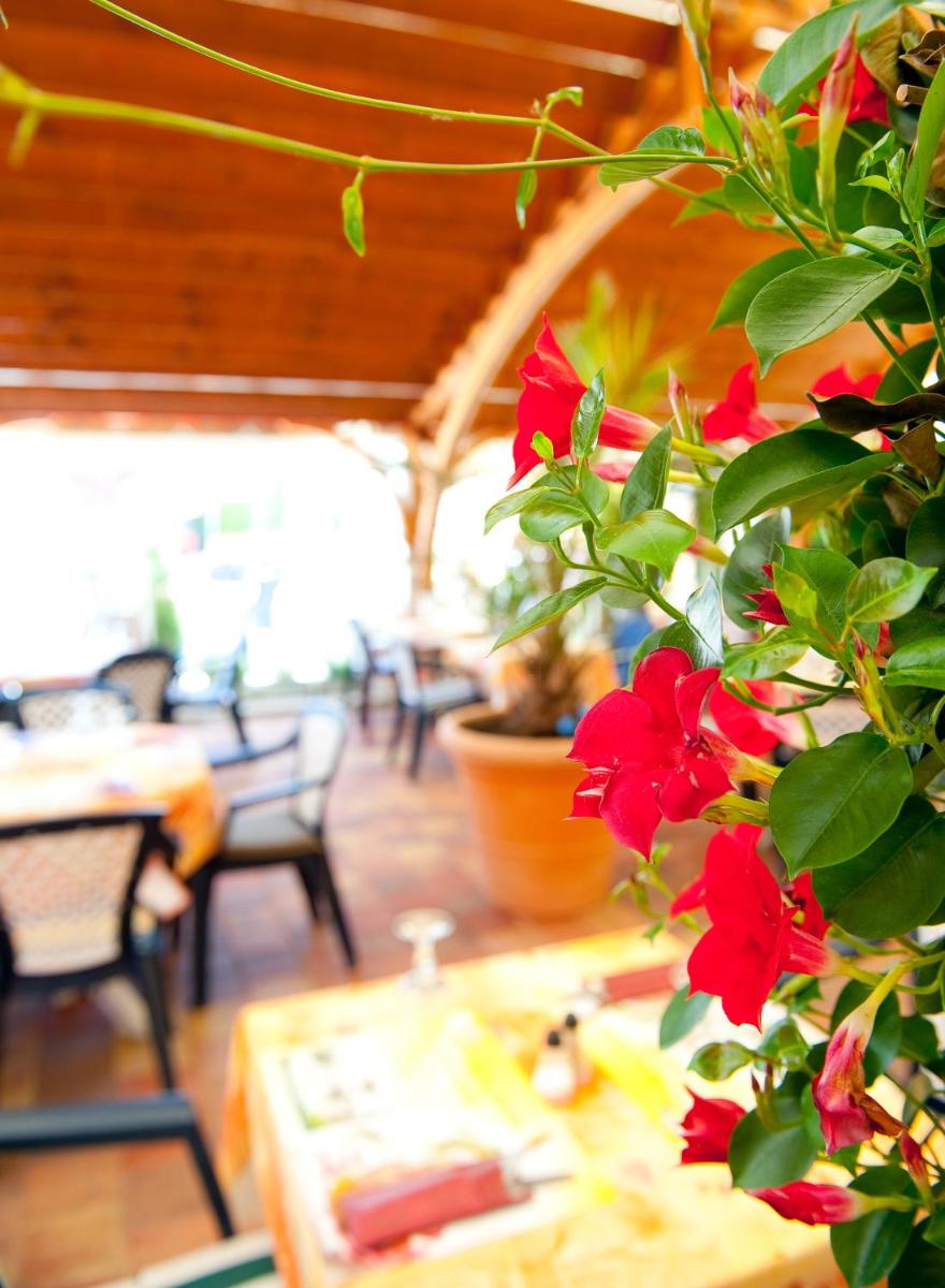 Photo de la galerie de l'établissement Au Soleil, Hôtel Restaurant & Spa, à Valff
