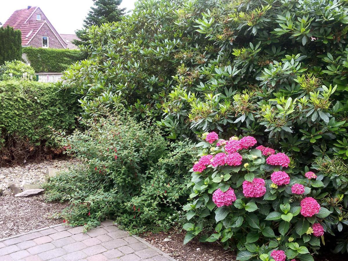 Holiday Home Hexenhuus - Housity