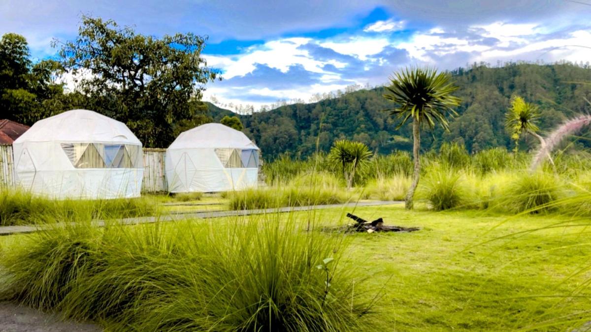 Igloo Glamping Bali - Housity