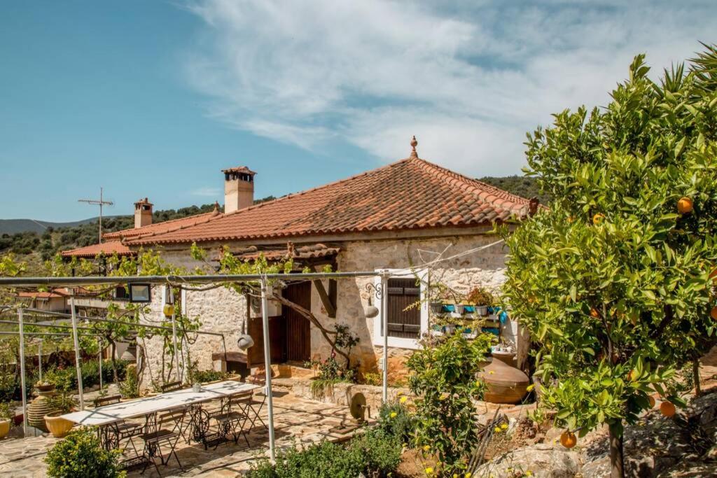 PONTINOS OLD HOUSE - Housity