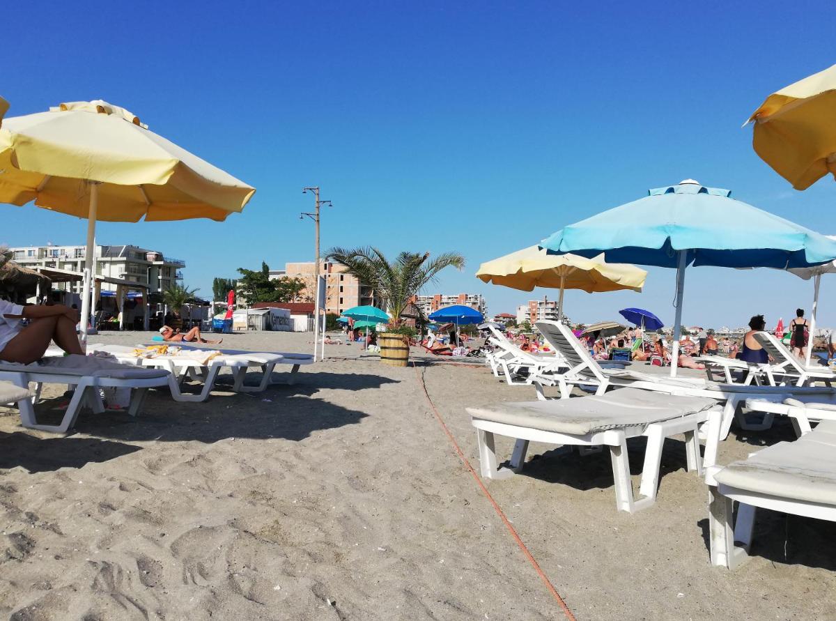 Sunny Day Apartment - Housity