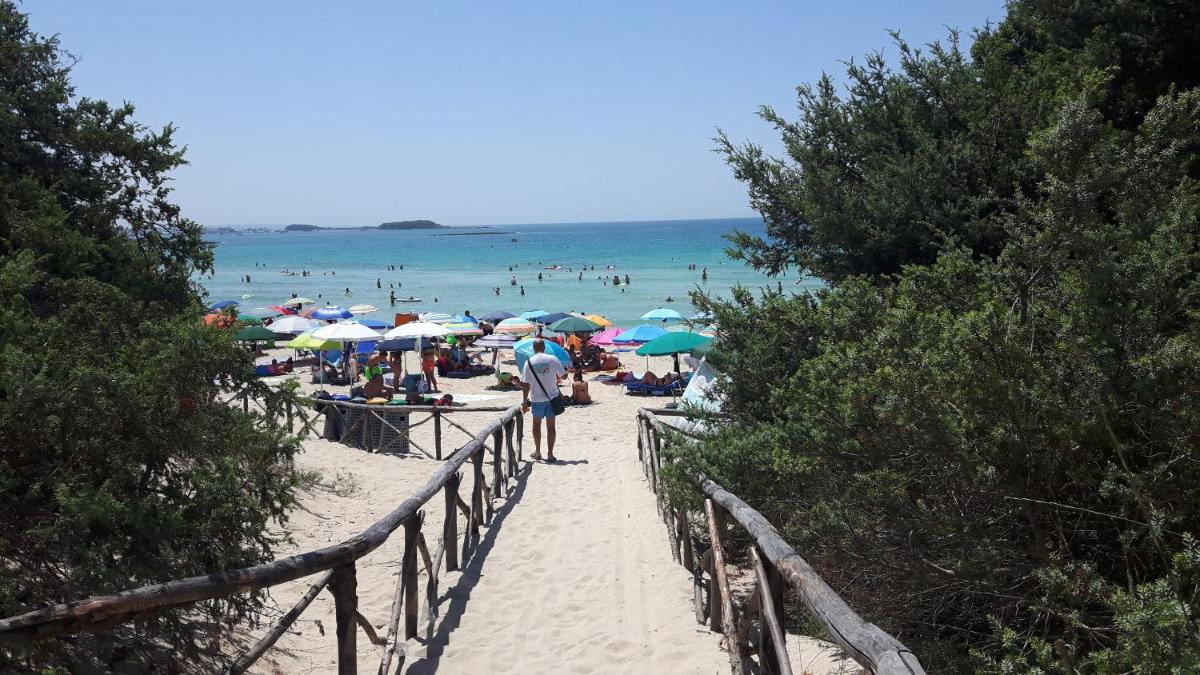 Piazza del Popolo - Housity