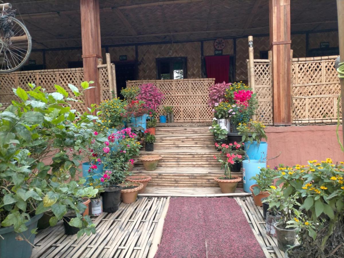 Risong Family Guest House - Housity