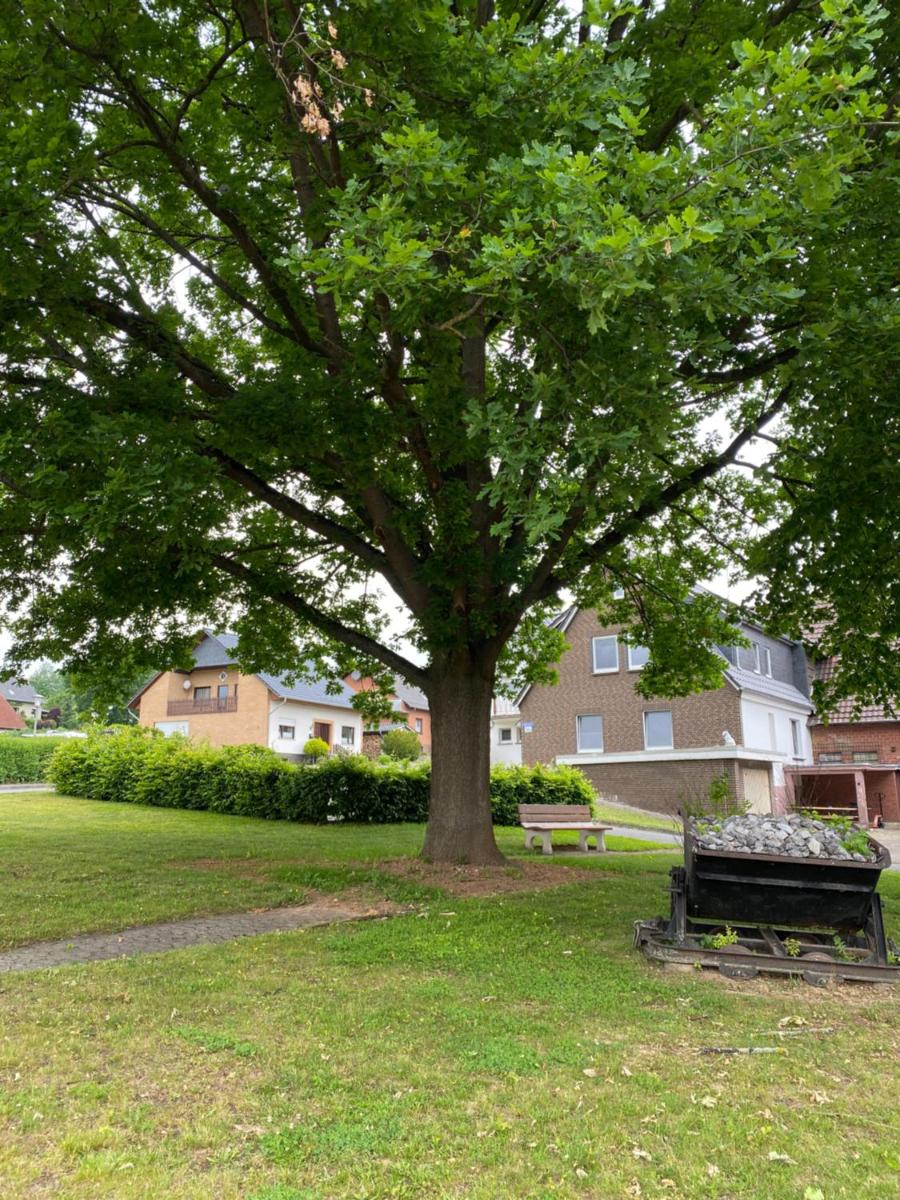 familienfreundliche Ferienwohnung Anna - Housity