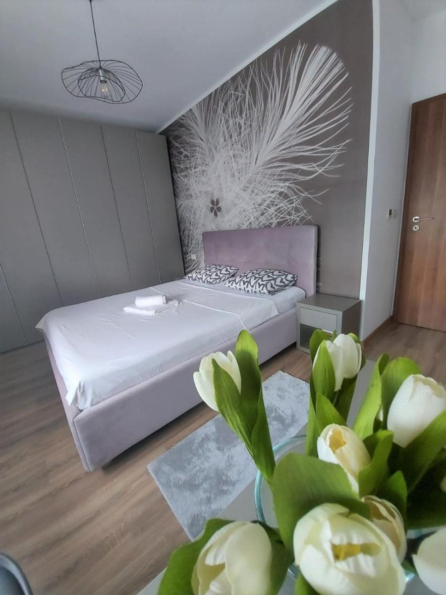 Paula Apartment - Housity