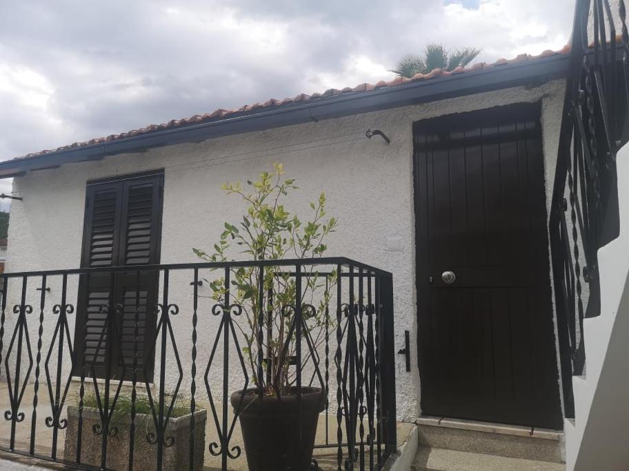 Casa Girão - Alojamento Local - Housity