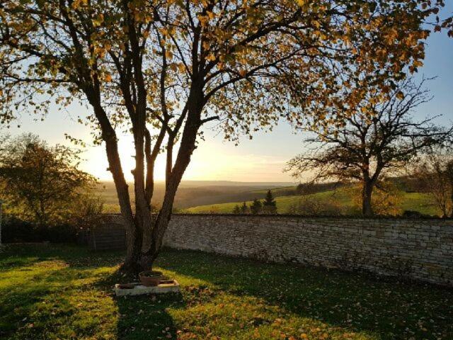 VILLA CHAMPAGNE - Housity