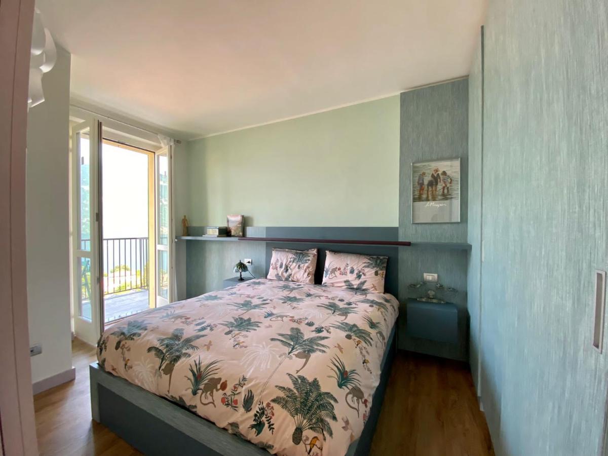 Stella Volante - Housity