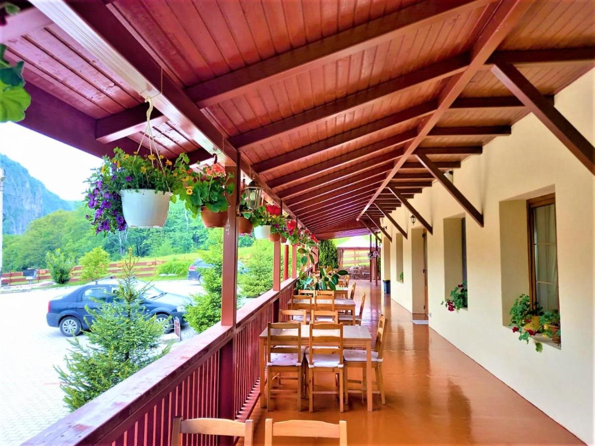 Pensiunea Castania - Pensiune cu piscina la munte - Housity