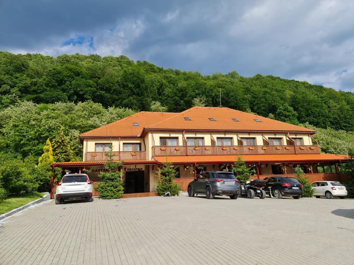 Pensiunea Castania - Pensiune cu piscina la munte - Housity