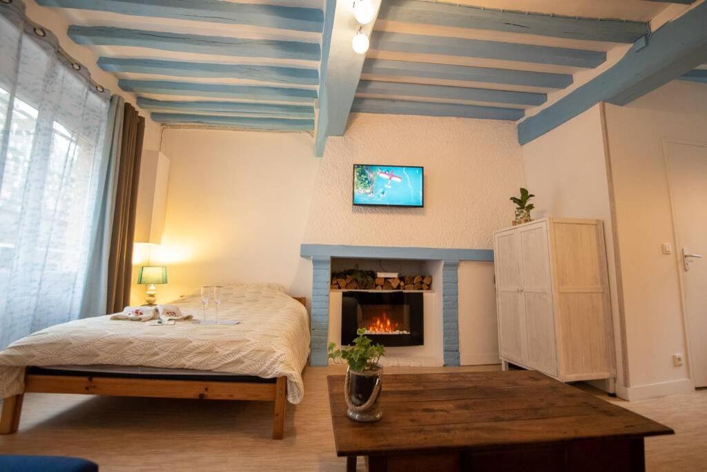 Blue Appartment with a fireplace - Housity