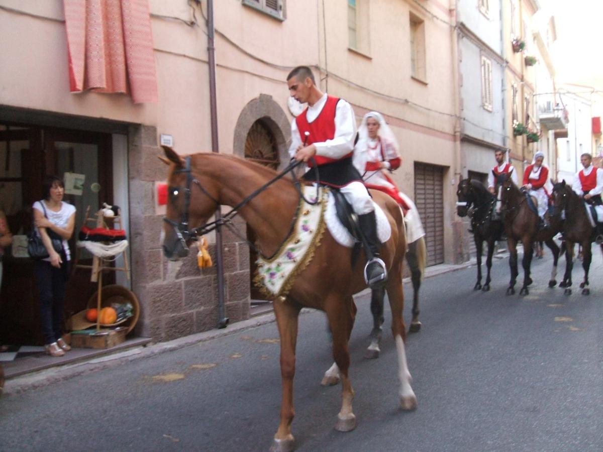 Suitetrails - AFFITTA CAMERE CASA DELLE ROSE