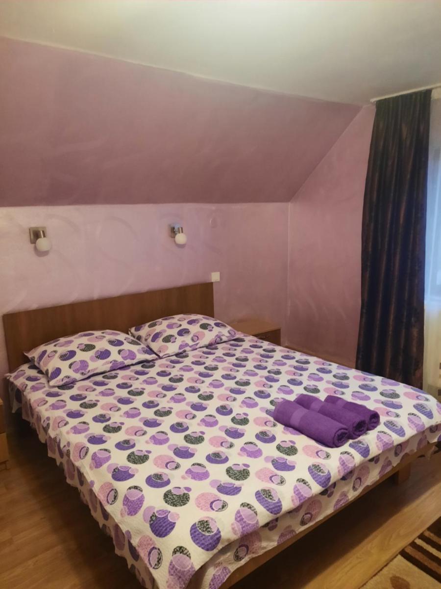 Pensiunea Ana-Maria - Housity