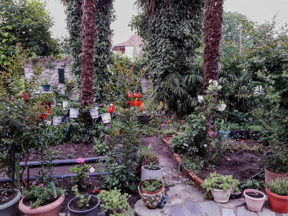 Rania's guest house - Housity