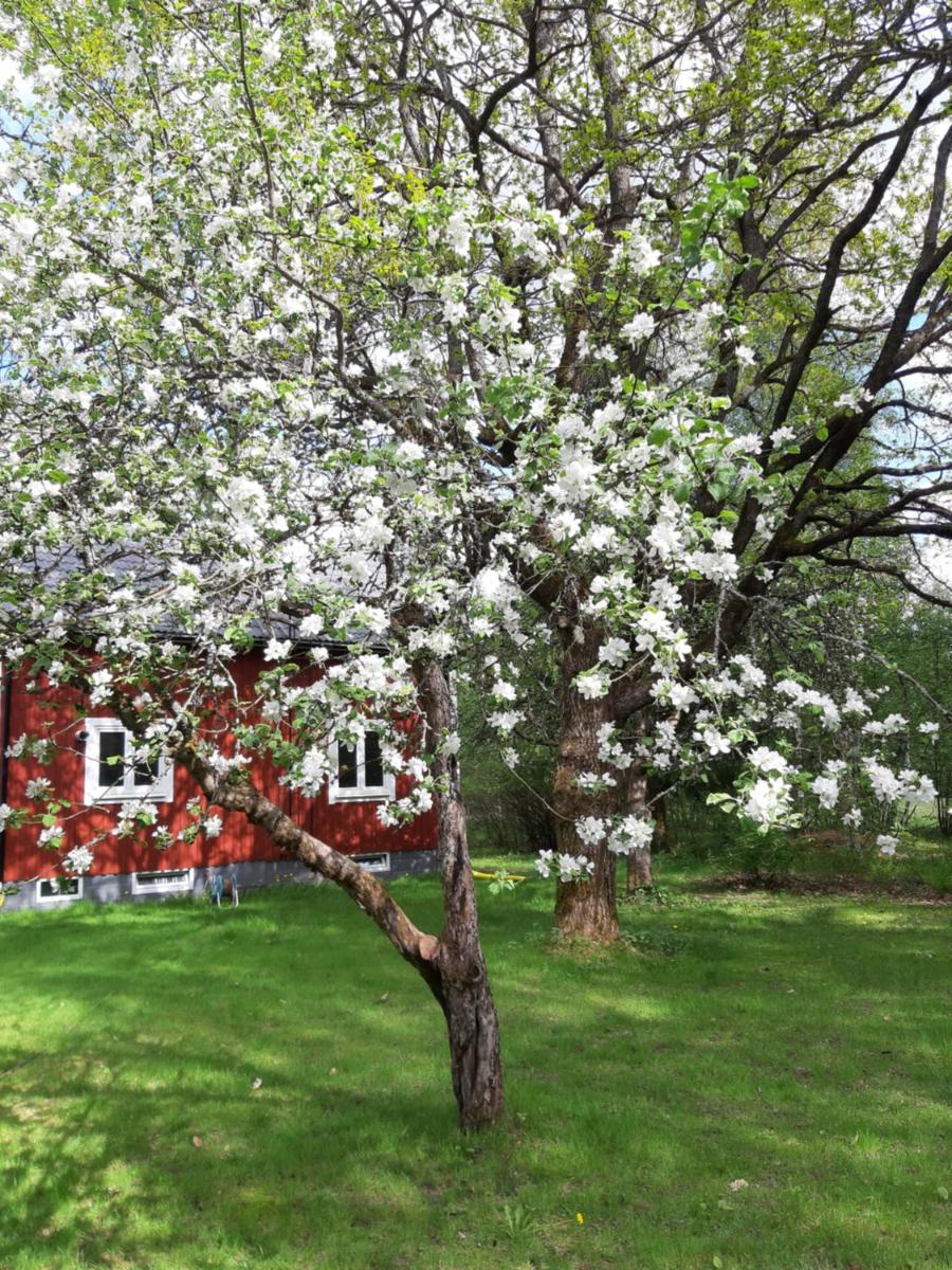Charming holiday home Villa Berika - Housity