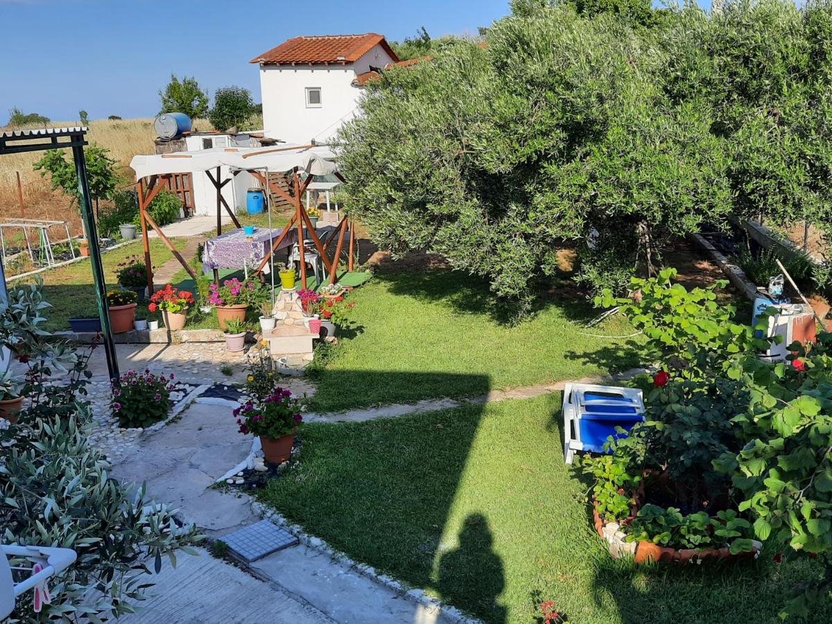 Lovely house - Housity