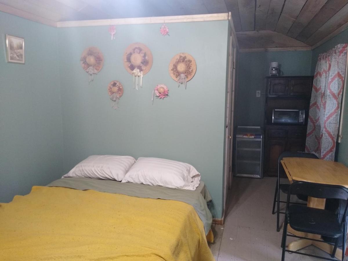 Serenity cabin on the hill - Housity