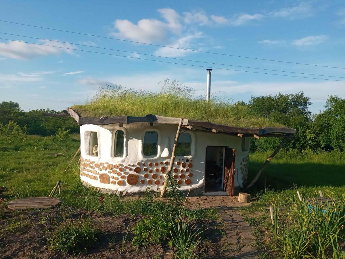 Сказочный Дом (Fairy House) - Housity
