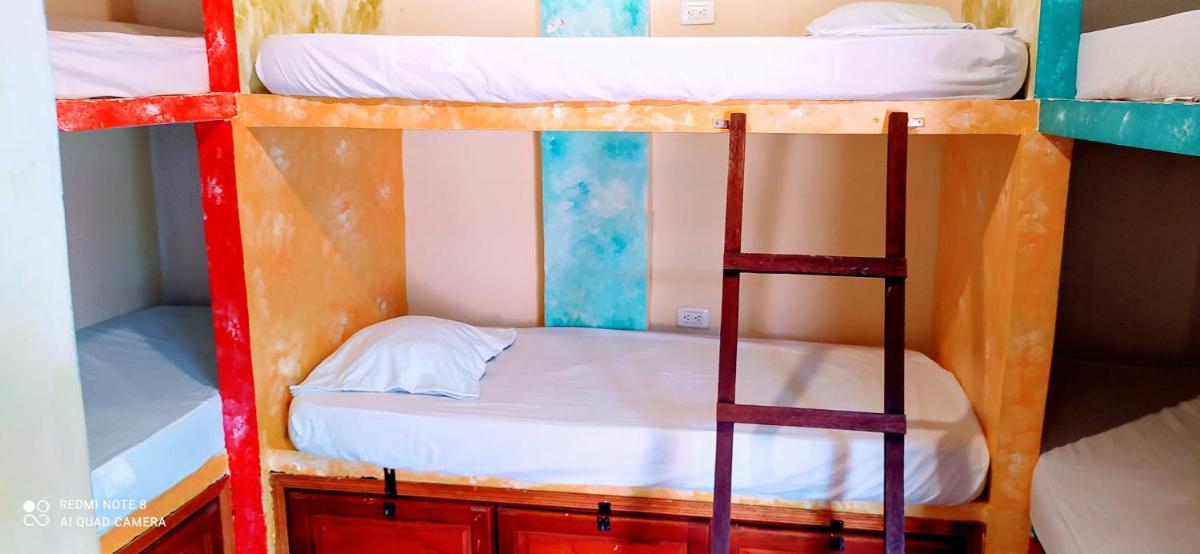 new casa Dora - Housity