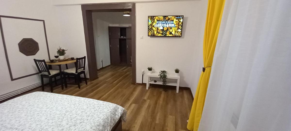 Vlad's Unirii Home - Housity