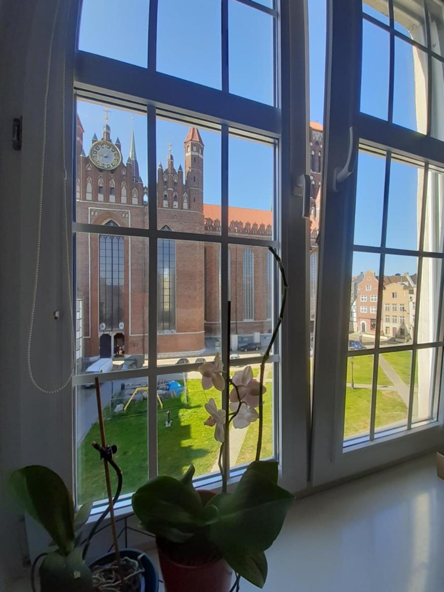 Apartment in Old Town - view of Mariacki Church - Housity