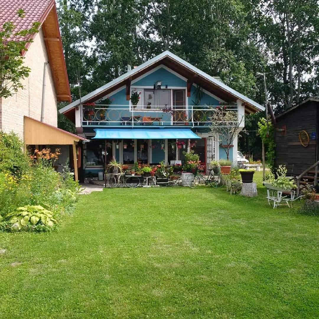 Dunavski Plicak- house on the Danube with a beautiful view - Housity