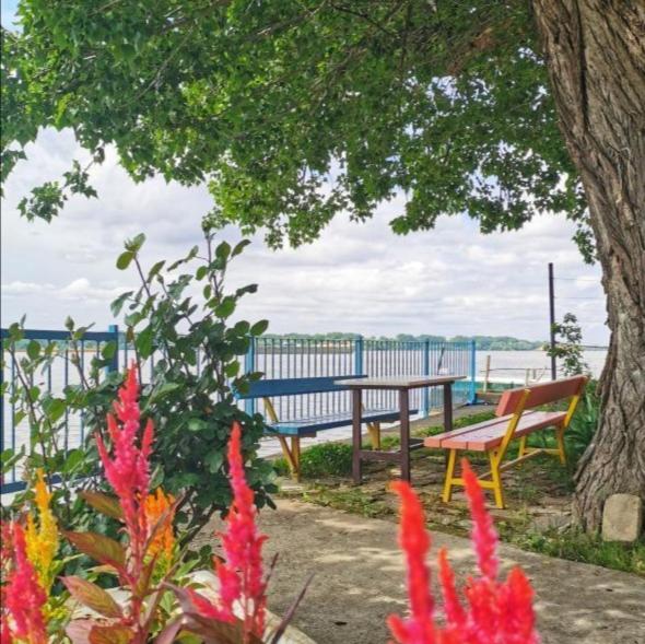 Dunavski Plicak- house on the Danube with a beautiful view - Housity