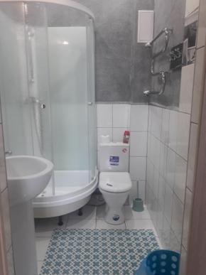 Gostinitsa platina gorno altaysk1 - Housity