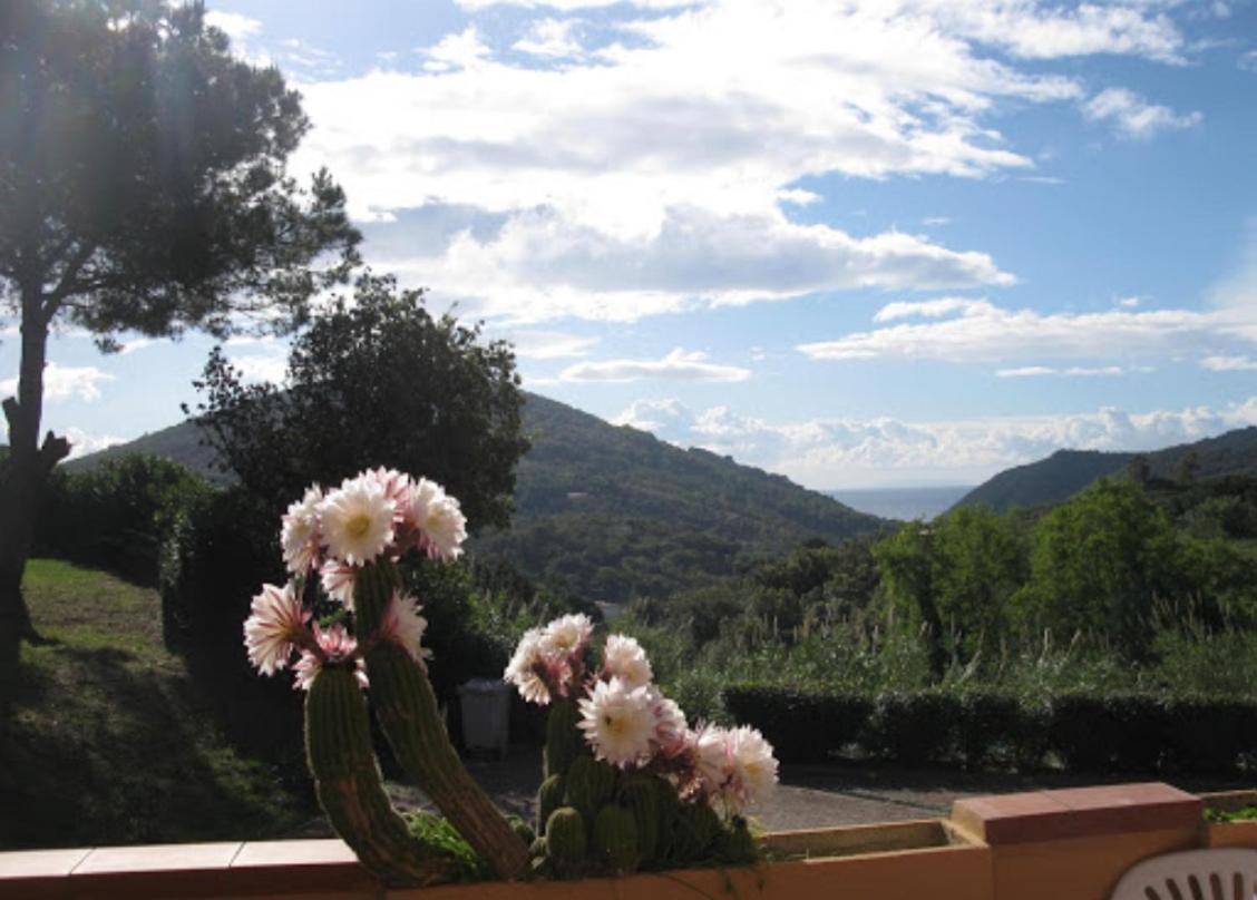 Elba Riposatoio - Housity