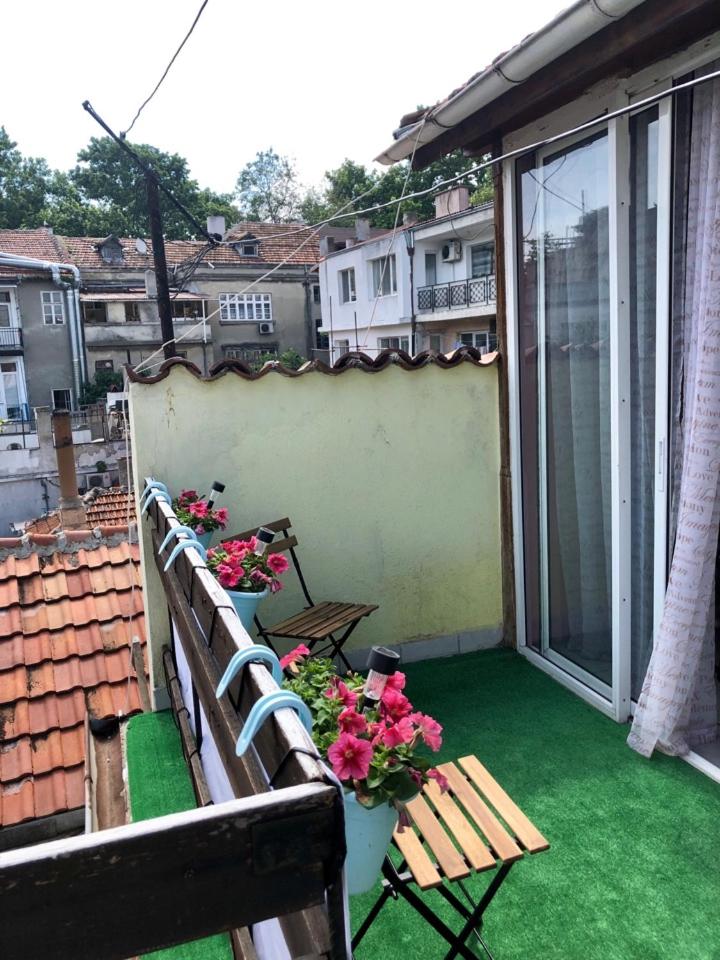 Drim House - Housity