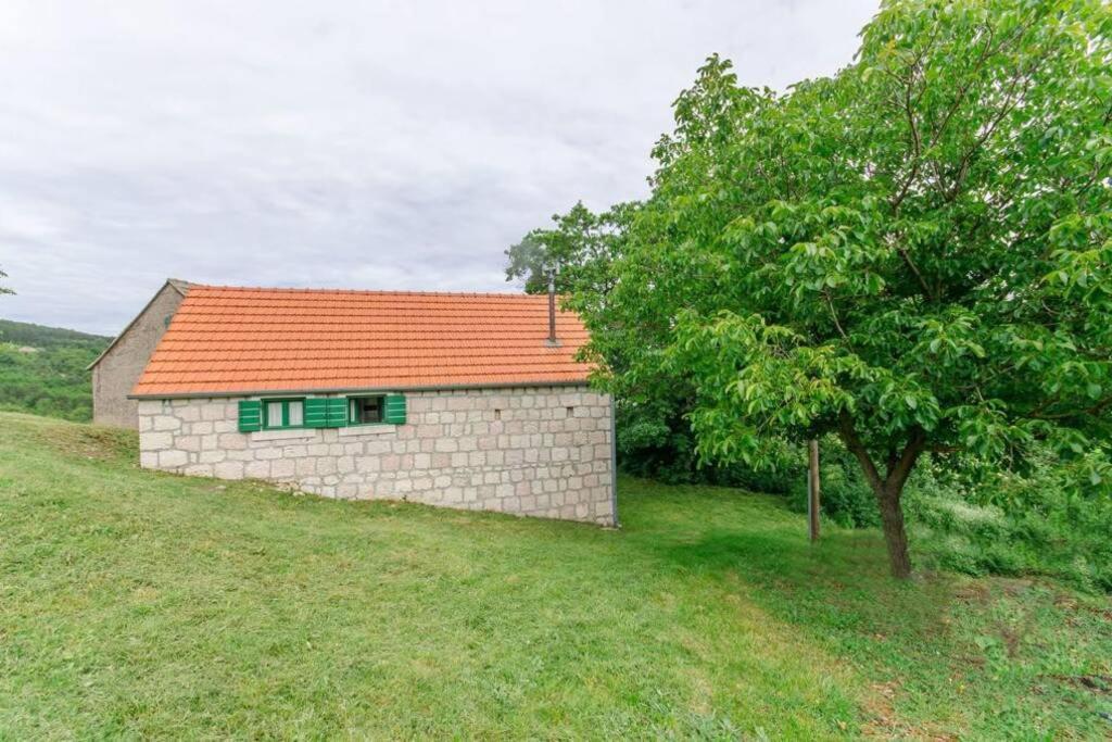 HOLIDAY HOUSE LUCIJA WITH FULL PRIVACY - Housity