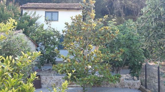 White Manolia Cottage - Housity