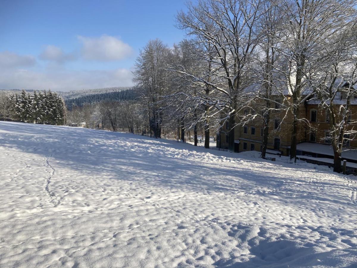 Suitetrails - Auszeit im Waldidyll