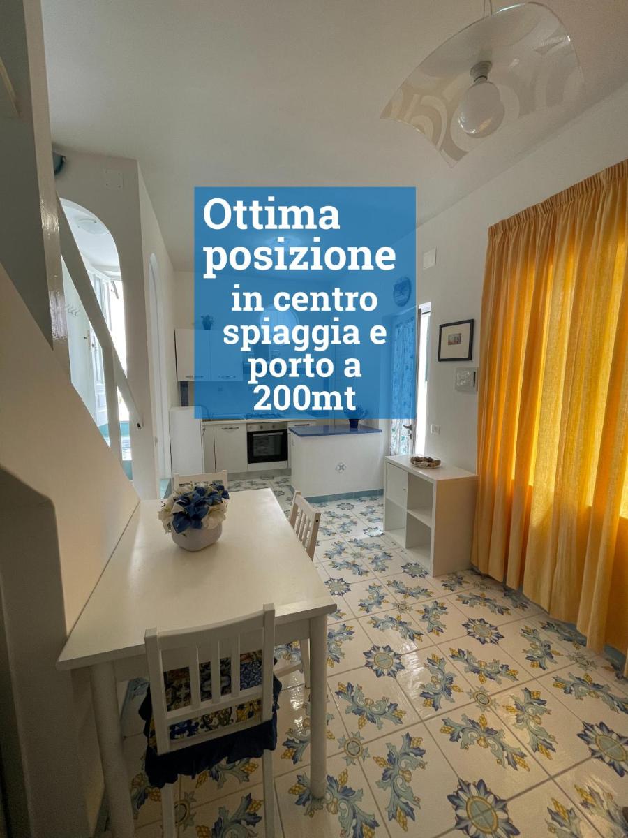 Blue Apartment - Hizvo