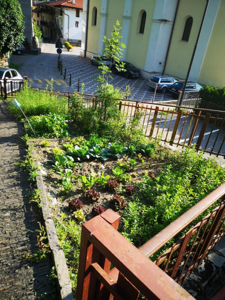 Appartamento Francesca - Housity